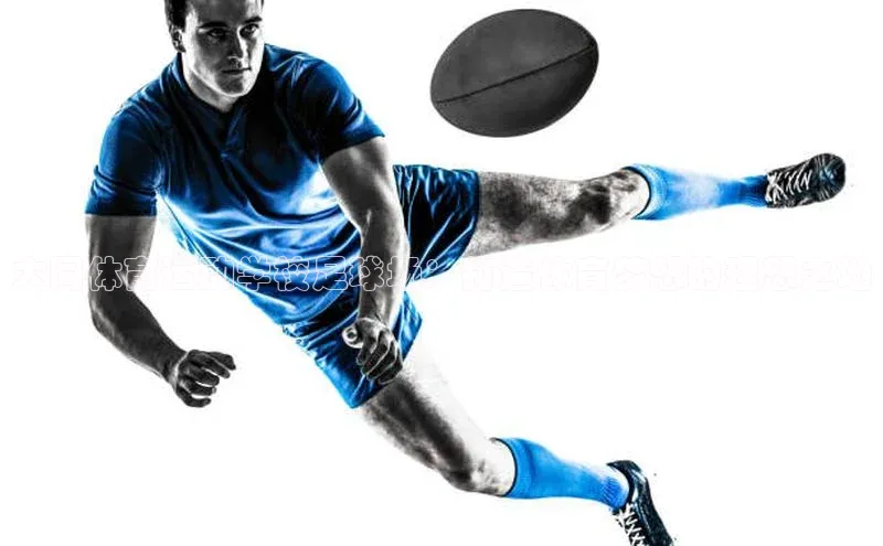 极悦官方网站app下载观星盘大同体育运动学校足球场：打造体育梦想的理想之地