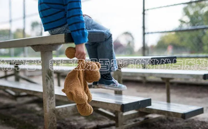 极悦app官网入口网易初学者：新手级滑雪赛事的挑战与乐趣