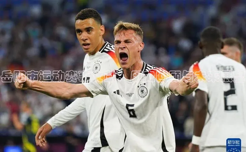 下载最新版悦平台百度集团岳阳市运动赛事文献：历史回顾与未来展望