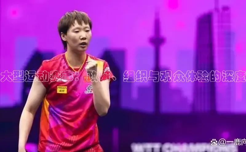 大型运动赛事：政策、组织与观众体验的深度