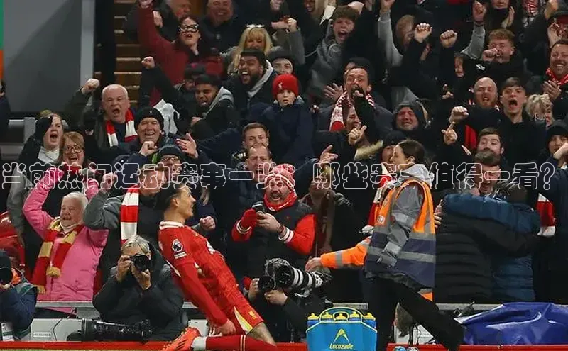 当前热门运动赛事一览：哪些赛事值得一看？