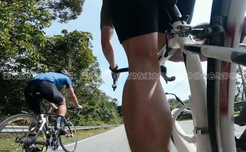 全球视野下的运动力量：深入探讨定向运动在重大国际赛事中的角色与影响力