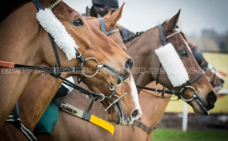 全球视野下的四大国际运动盛事：足球、篮球、网球与田径的未来趋势与历史回顾