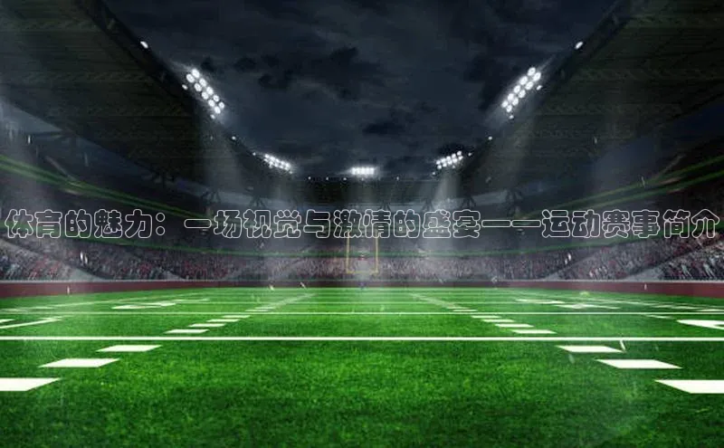 体育的魅力：一场视觉与激情的盛宴——运动赛事简介