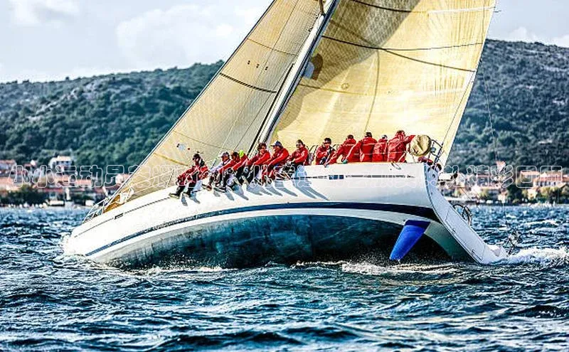 小小运动员荣耀时刻：儿童运动会颁奖典礼精彩回顾