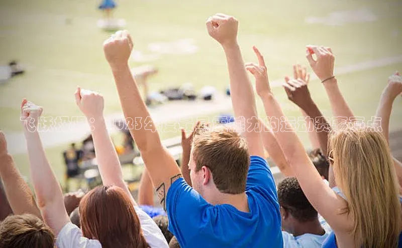 飞跃极限：2023年度最具震撼力的运动赛事亮点