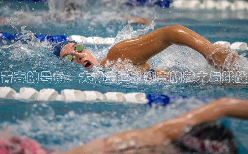 青春的号角：大学生运动赛事的魅力与挑战