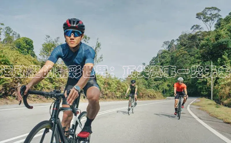 极悦app官网入口