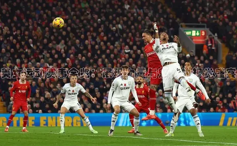 极悦官方网站首页