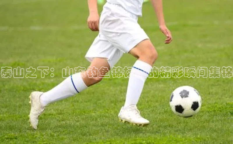 泰山之下：山东钓鱼锦标赛的精彩瞬间集锦