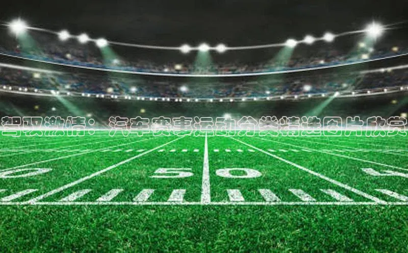 驾驭激情：汽车赛事运动分类精选图片欣赏