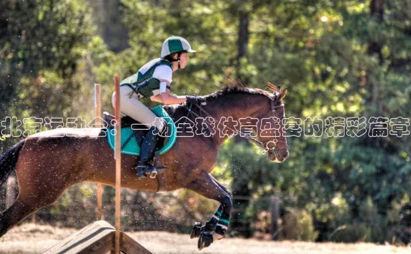 北京运动会：一场全球体育盛宴的精彩篇章